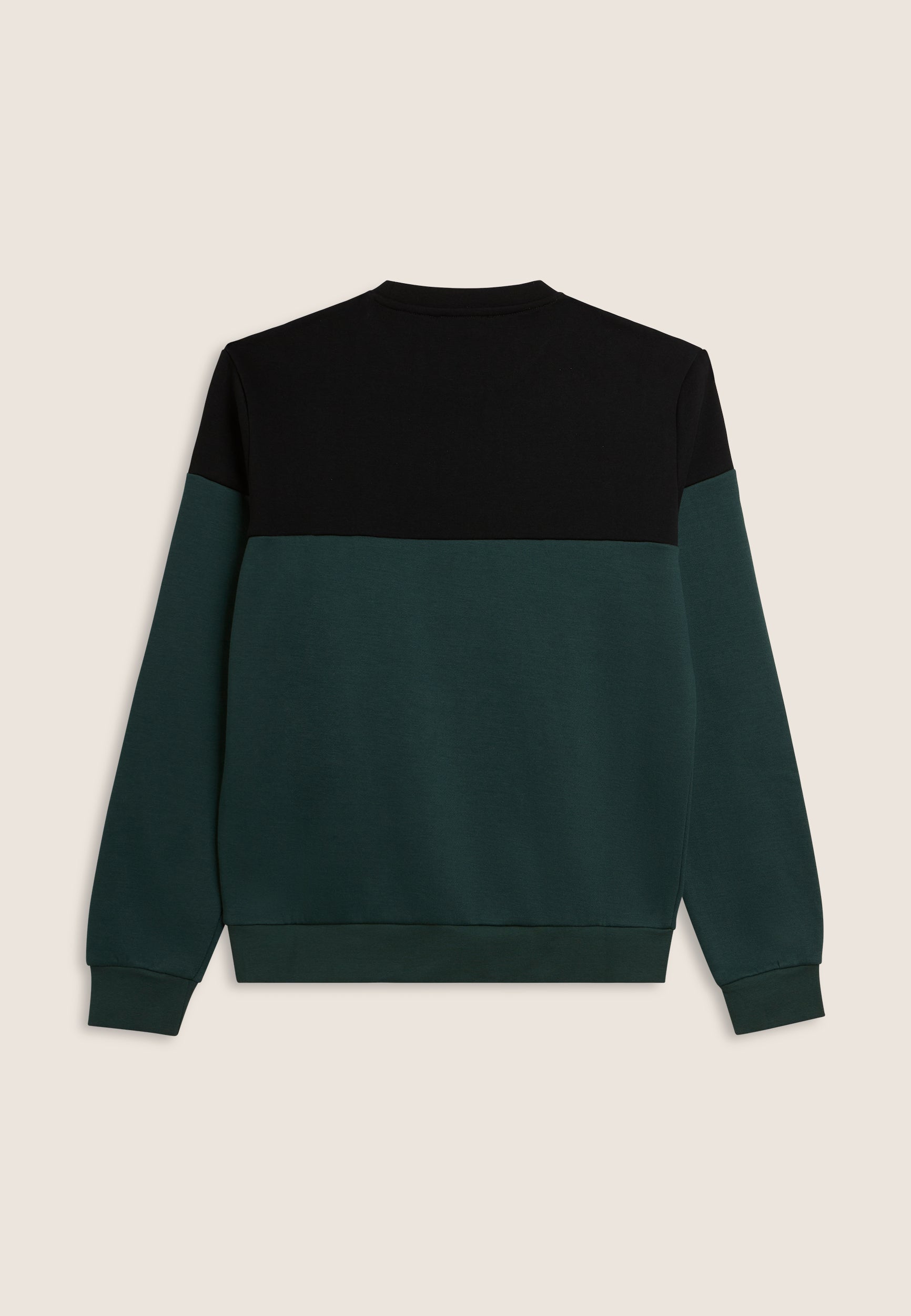 freddy-felpa-girocollo-uomo-colour-block-spalle-a-contrasto image 5