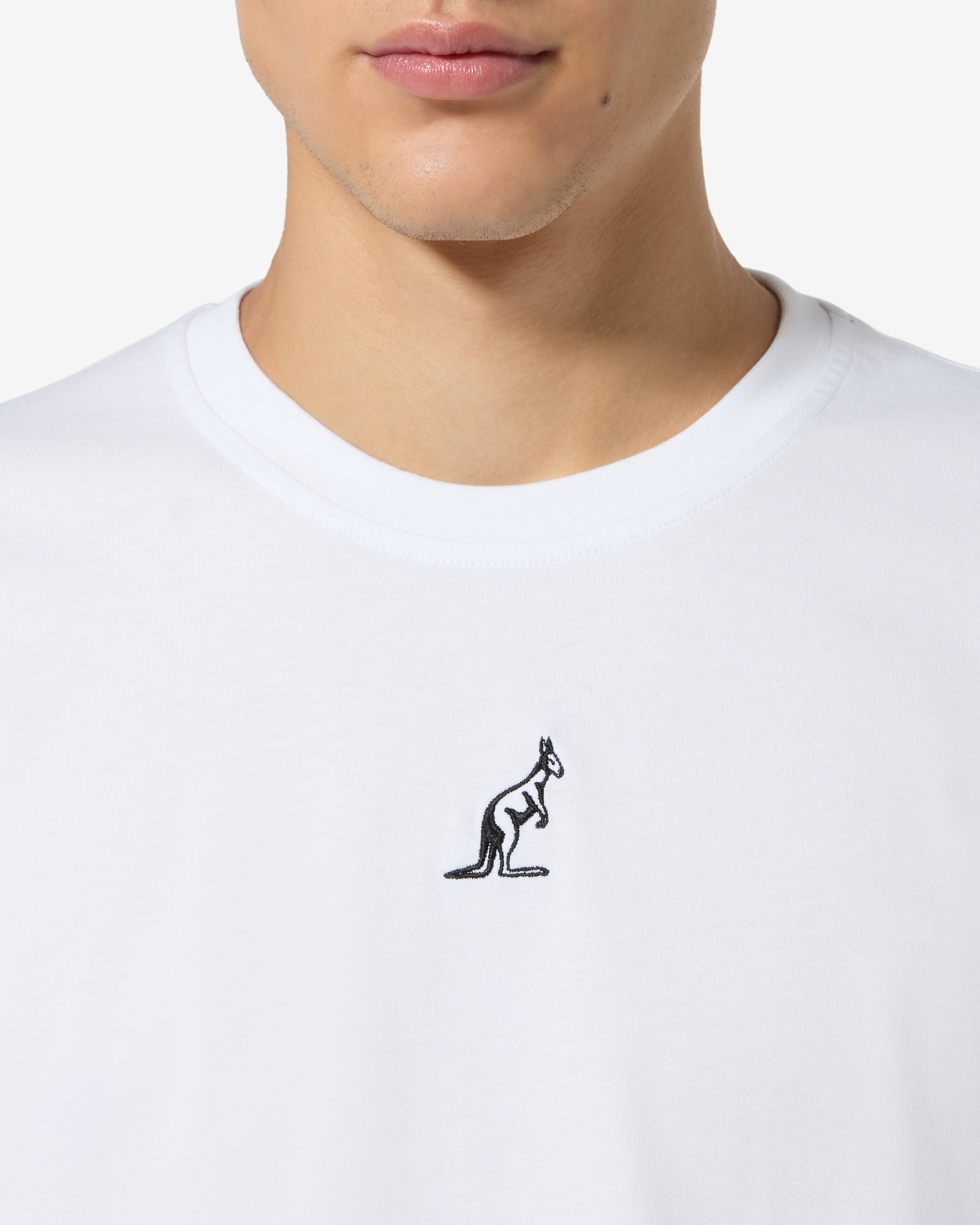 australian-plancton-t-shirt-cotone-regular-fit-made-in-italy image 5