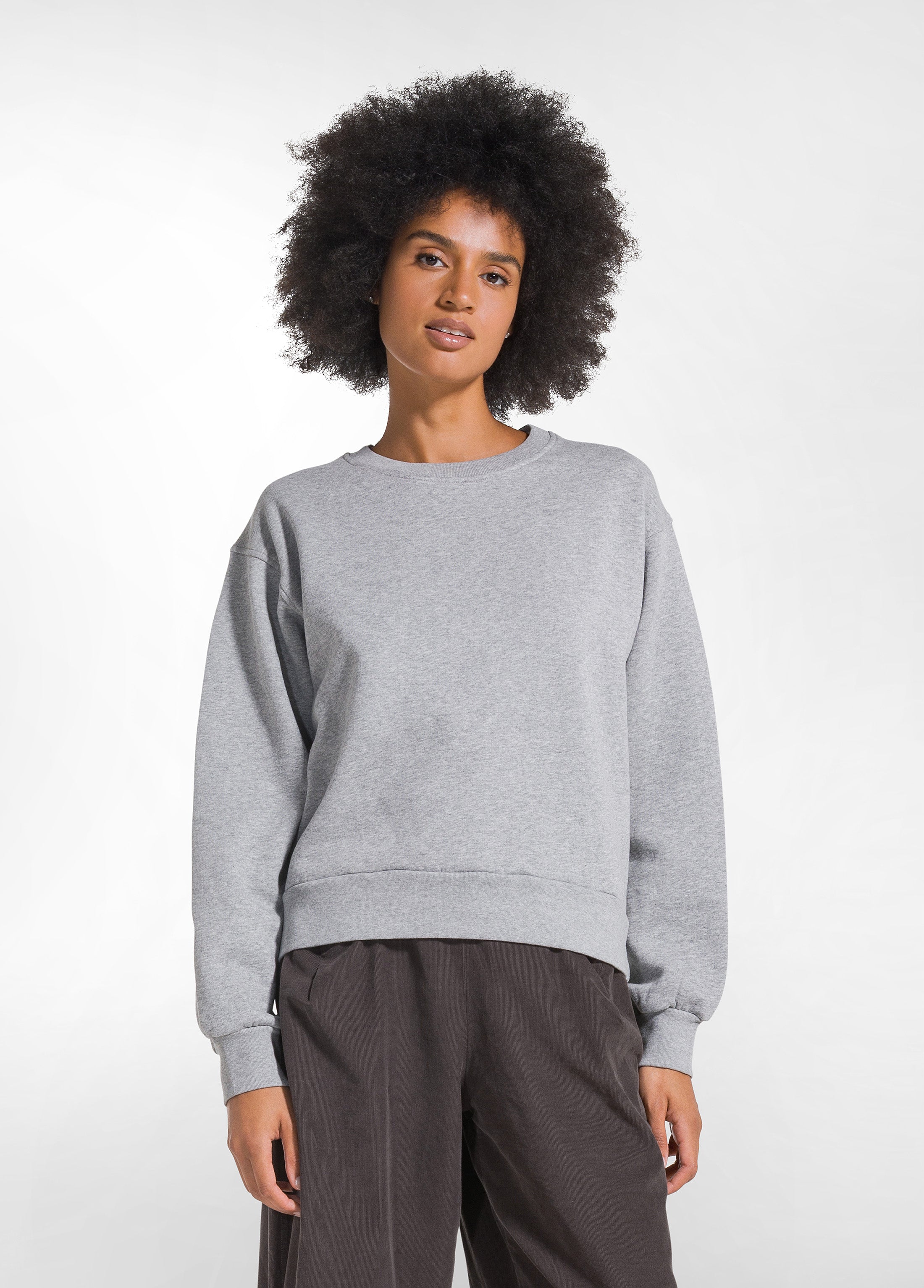 deha-d52141-felpa-girocollo-in-cotone-organico-grigio image 1